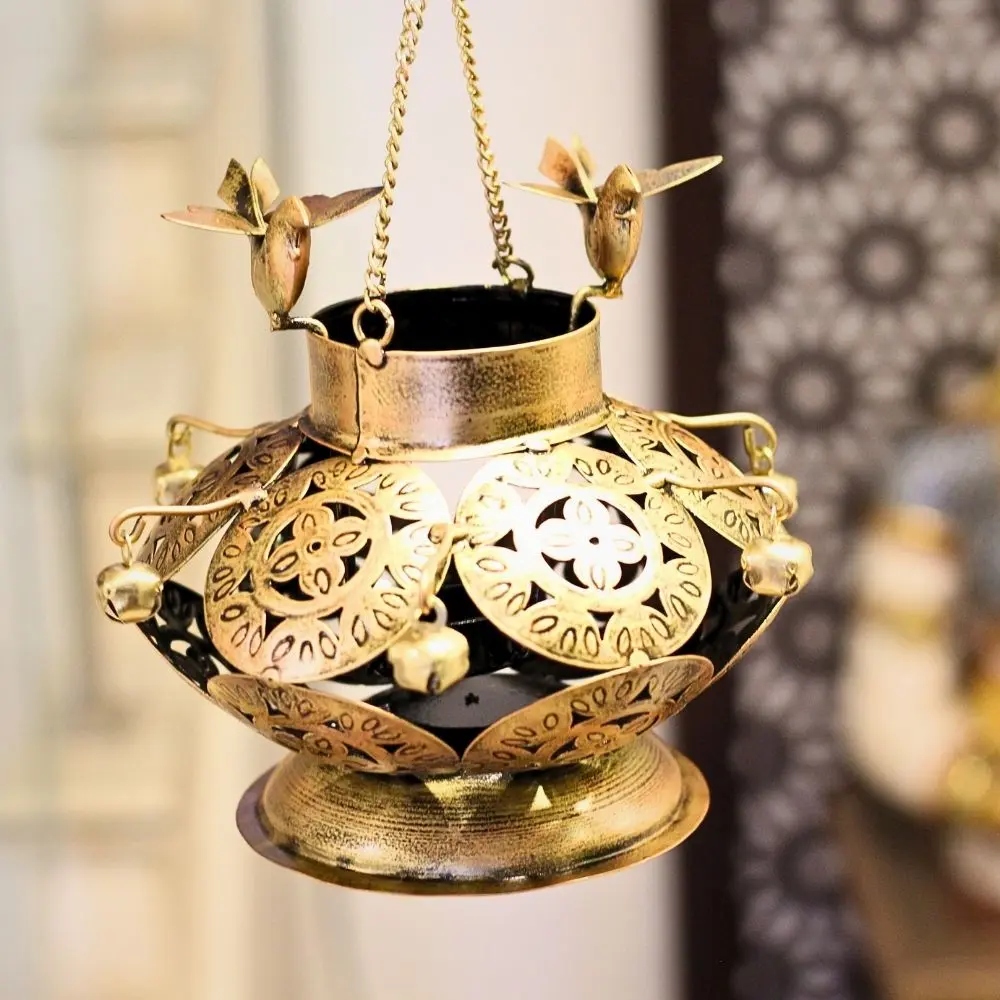 Iron Buzer Bird Degchi