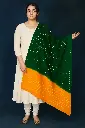 Kachchh Shawls/Dupatta (Multi Use) 